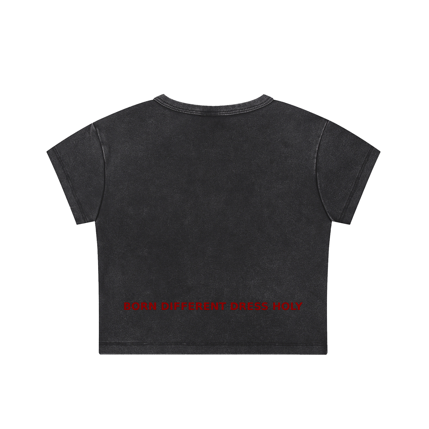 HOLYENCORE™ Snow Washed Crop Top