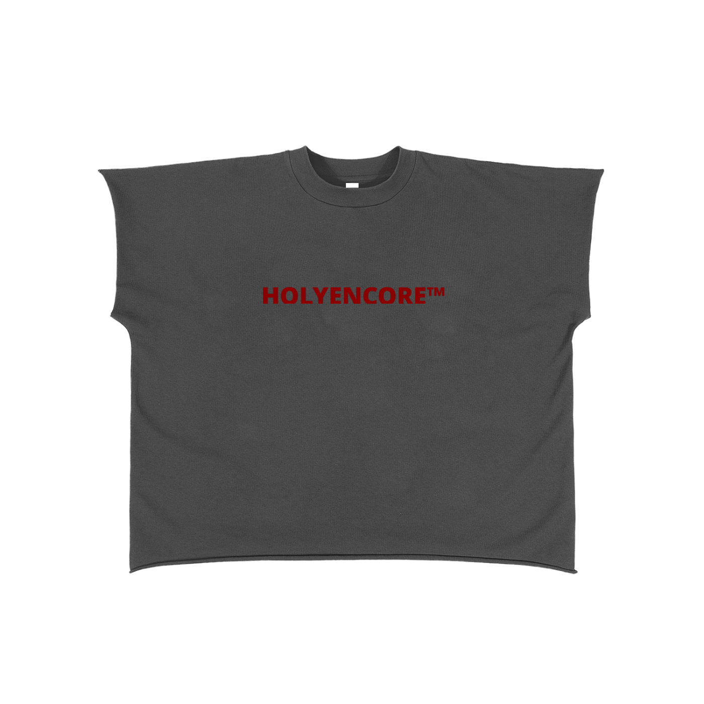 HOLYENCORE™ Raw Edge Snow Washed Boxy T-Shirt