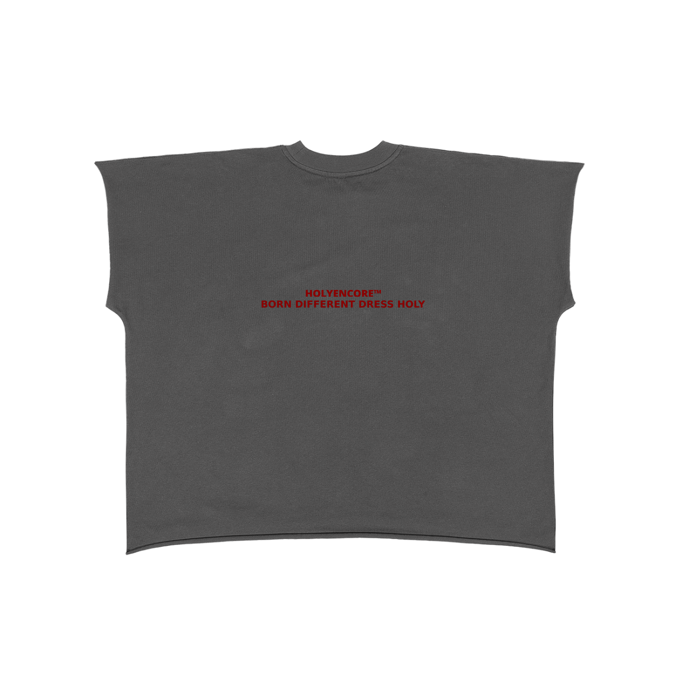 HOLYENCORE™ Raw Edge Snow Washed Boxy T-Shirt