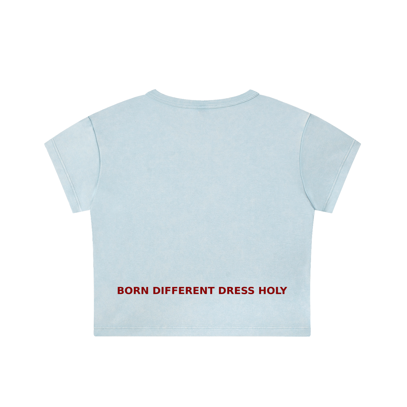HOLYENCORE™ Snow Washed Crop Top