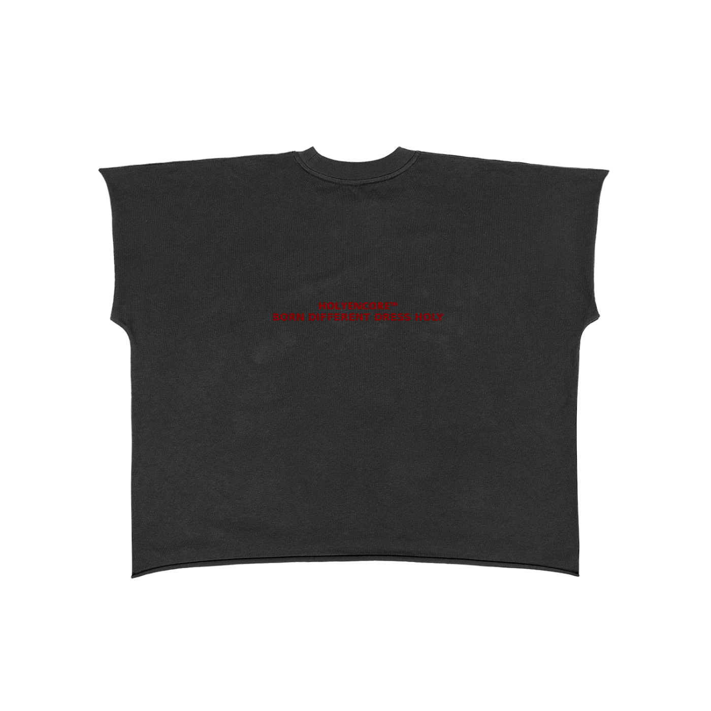 HOLYENCORE™ Raw Edge Snow Washed Boxy T-Shirt