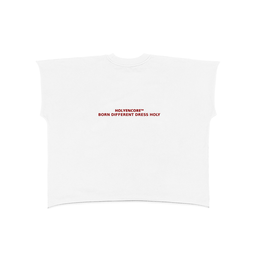 HOLYENCORE™ Raw Edge Snow Washed Boxy T-Shirt