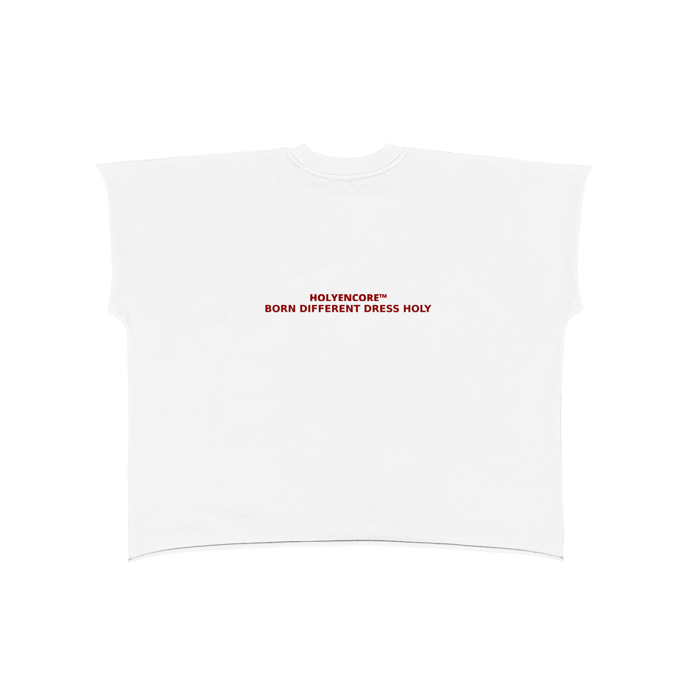 HOLYENCORE™ Raw Edge Snow Washed Boxy T-Shirt