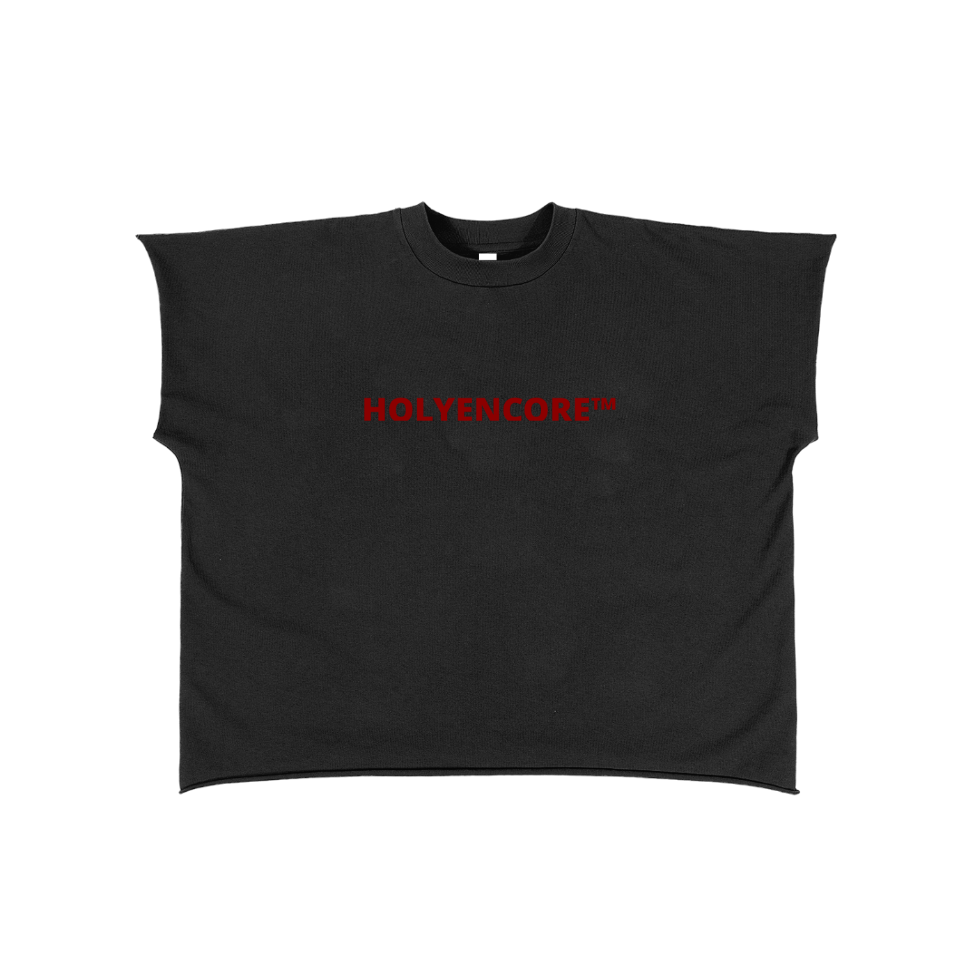 HOLYENCORE™ Raw Edge Snow Washed Boxy T-Shirt